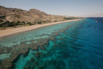 Отчет ученых: коралловый риф в Эйлатском заливе постепенно исчезает - news.israelinfo.co.il - Эйлат - Экология