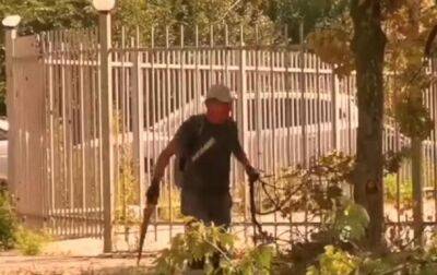 Оккупанты для заготовки дров "вырезают" зеленые зоны Мариуполя - мэрия