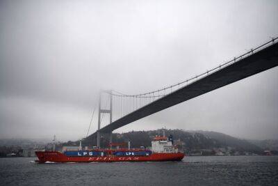 Звонкая лира. Турция поднимает плату за проход судов через морские проливы