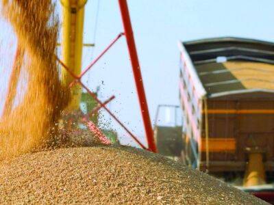 Украинское судно с зерном для стран Африки прибыло в Джибути - unn.com.ua - Украина - Киев - Одесская обл. - Эфиопия - Джибути - Южный - Продовольствие