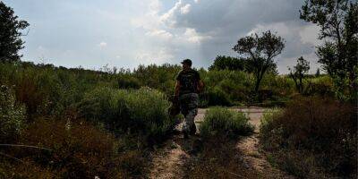 Пентагон о наступлении ВСУ на юге Украины: Больше ясности появится через 36 часов