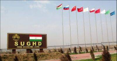 Субъекты СЭЗ Таджикистана произвели продукцию на сумму 243 млн. сомони