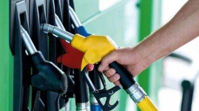 Возвращение акцизов на топливо: депутаты предварительно приняли доработанный законопроект