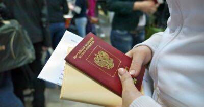 Будут усиленно проверять: в ФРГ хотят оставить россиян без многолетних виз для жизни в ЕС