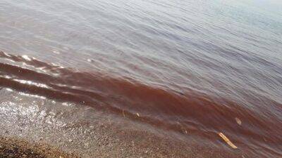 Вода Кинерета окрасилась в оранжевый цвет: отдыхающие убежали с пляжа - видео