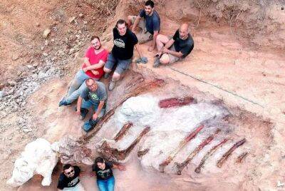 У Португалії знайдено кістяк 25-метрового динозавра (Фото) - lenta.ua - Украина