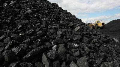 В Согде открыли пункты по продаже угля