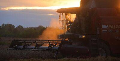 В Беларуси намолочено 7,8 млн тонн зерна
