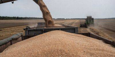 Пробки на границе. Почему зерно в Украине стоит дешевле, чем на мировых рынках, а фермеры теряют миллионы евро - biz.nv.ua - Украина - Германия