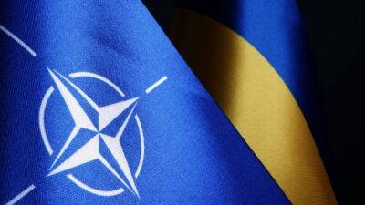 Украина потребовала принятия в НАТО без всяких условий