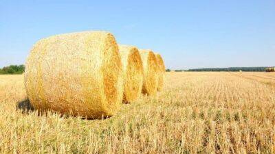 В Новогрудском районе мужчина похитил 700 кг сена
