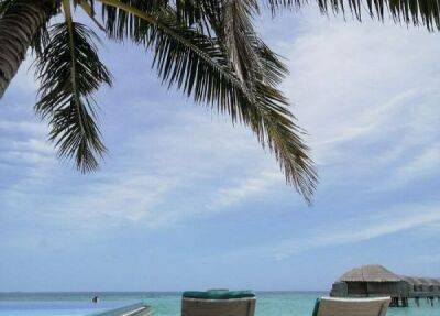 Под белы рученьки привели в рай: отзыв туристки о Мальдивах