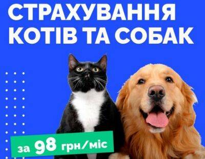 Finance.ua запустили страхование кошек и собак