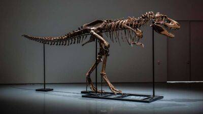 Повний скелет динозавра продано на Sotheby's за рекордну суму