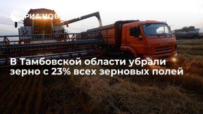 В Тамбовской области убрали зерно с 23% всех зерновых полей