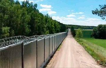 Нелегалы пытались штурмовать забор на границе Польши и Беларуси
