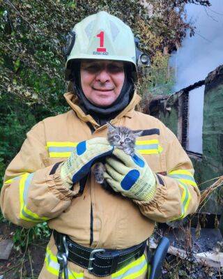 Пожарные спасли котенка из горящего дома в Харькове (фото, видео)