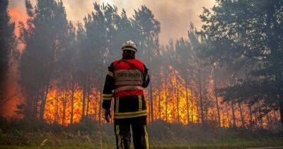 Лесные пожары в Европе сожгли вторую по величине площадь за всю историю наблюдений - unn.com.ua - Украина - Киев - Италия - Германия - Франция - Испания - Словения - Чехия - Португалия - Греция - Люксембург - Европа