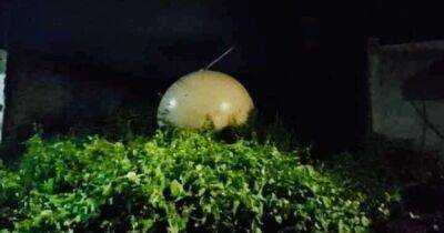 Драконье яйцо или метеозонд: в Мексике с неба упал таинственный шар (фото)