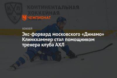 Экс-форвард московского «Динамо» Клинкхаммер стал помощником тренера клуба АХЛ