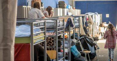 Германия изменила правила для украинских беженцев с 1 сентября: что известно