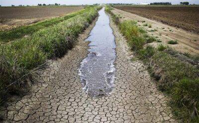 Дефицит воды угрожает выращиванию фруктов в Узбекистане в ближайшие годы – эксперт