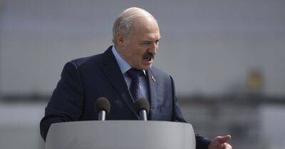 Александр Лукашенко - Григорий Азаренк - В Беларуси признали экстремистскими стикеры в Telegram с карикатурами на Лукашенко (фото) - focus.ua - Украина - Белоруссия