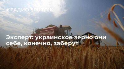 Эксперт: украинское зерно они себе, конечно, заберут