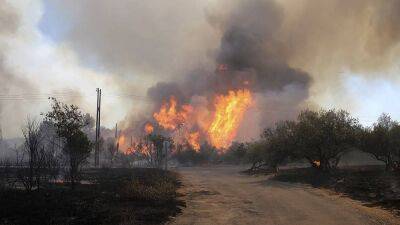 "9 из 10 лесных пожаров происходят по вине человека"