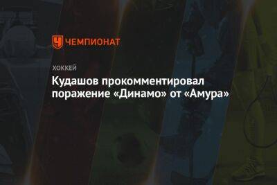 Кудашов прокомментировал поражение «Динамо» от «Амура»