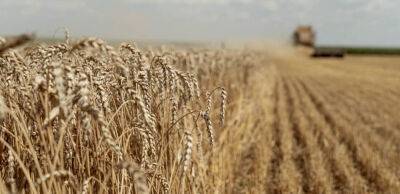 В Україні вже зібрали 17,5 млн тонн зерна нового врожаю