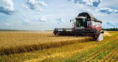 Второй миллион тонн зерна намолочен в Беларуси