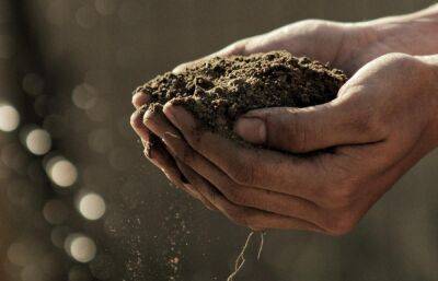 За 7 месяцев Россельхознадзор в Тверской области отобрал для исследований 111 образцов почвы