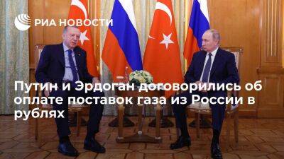 Новак: Путин и Эрдоган договорились о частичной оплате поставок газа из России в рублях