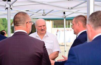 Лукашенко оценил ход уборочной и проинспектировал работу молочного завода во время рабочей поездки в Поставский район