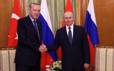 Путин и Эрдоган договорились о частичной оплате поставок газа в рублях