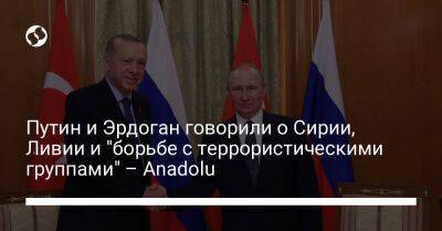 Путин и Эрдоган говорили о Сирии, Ливии и "борьбе с террористическими группами" – Anadolu