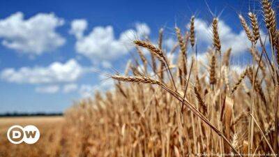 Экспорт зерна из Украины: 5 фактов