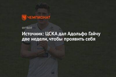 Источник: ЦСКА дал Адольфо Гайчу две недели, чтобы проявить себя