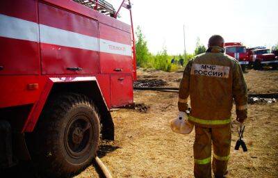 В Тверской области обнаружен очаг торфяного пожара