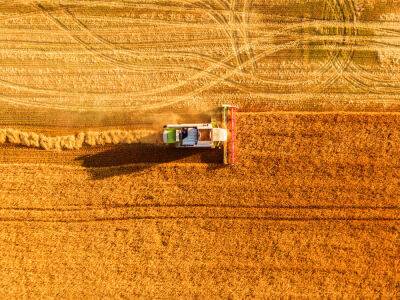 В ООН заявили о снижении в июле мировых цен на продовольствие, в том числе благодаря соглашению об экспорте украинского зерна