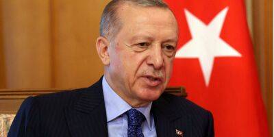 «В этой войне победителя не будет». Эрдоган снова предложил провести встречу Путина и Зеленского в Турции