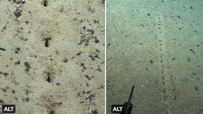 В Атлантическом океане на глубине 3 км обнаружили ряд ровных отверстий - obzor.lt - Находка