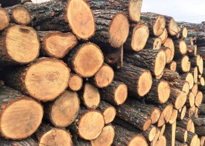 "Сезон буде важким": мешканців Запорізької області закликали утеплювати до зими будинки та робити запаси дров