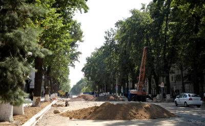 Хокимият Ташкента опроверг сообщения о повреждении 99 деревьев. В столичной администрации уверены, что повреждено только 7