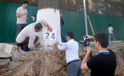 Кто врет. В Госкомэкологии заявили, что в ходе реконструкции улицы в Ташкенте повреждено 101 дерево. В хокимияте утверждают, что 7