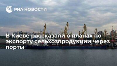 Министр Кубраков: Киев хочет вывозить три миллиона тонн с/х продукции из портов ежемесячно