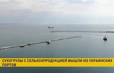 Еще четыре сухогруза с сельхозпродукцией вышли из украинских портов в Стамбул