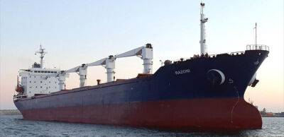 Українське судно, що перевозило зерно до Лівану, не дійшло до порту призначення