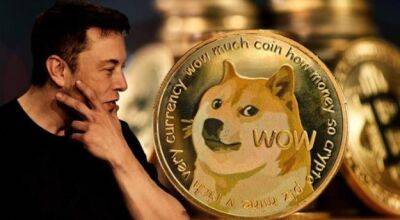 Dogecoin вылетел из топ-10 криптовалют. В чем причина